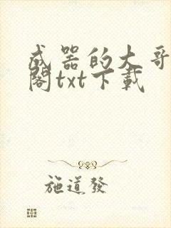 成器的大哥笔趣阁txt下载