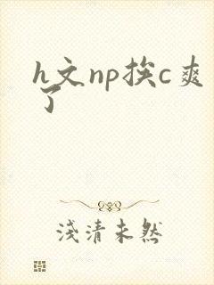 h文np挨c爽了