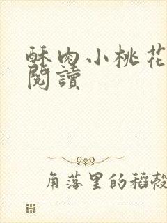 酥肉小桃花全文阅读