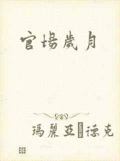官场岁月