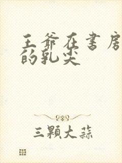 王爷在书房含她的乳尖