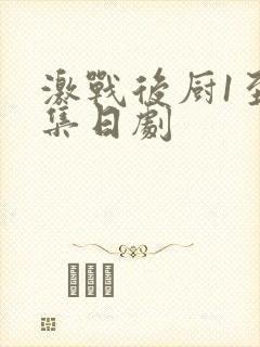 激战后厨1至5集日剧