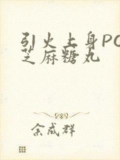 引火上身POP芝麻糖丸