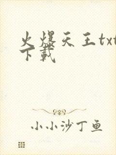 火爆天王txt下载