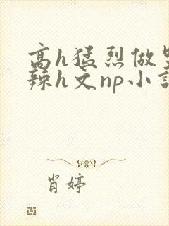 高h猛烈做哭高辣h文np小说