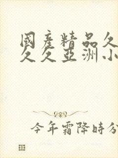 国产精品久久久久久亚洲小说