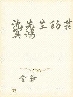 沈先生的花式调冥鸿