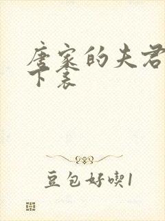 唐家的夫君们帘下衾