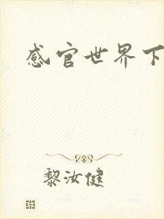 感官世界下载