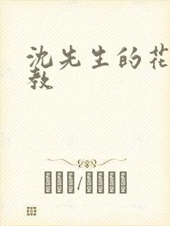 沈先生的花式管教