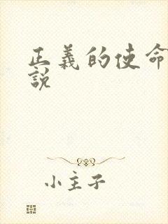 正义的使命 小说