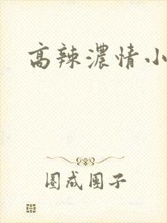 高辣浓情小说