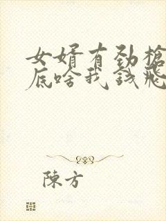 女婿有劲枪枪到底啥我钱飞了