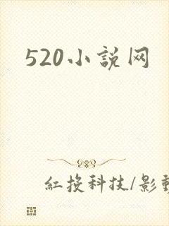 520小说网