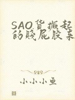 SAO货撅起你的贱屁股来