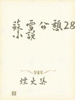苏雪公憩28篇小说
