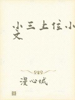 小三上位小说全文