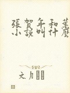 张贺年和叶繁姿小说叫什么名字