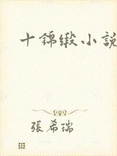 十锦缎小说