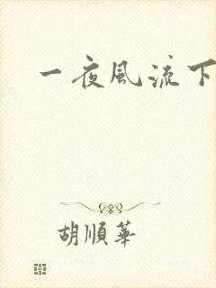 一夜风流下载