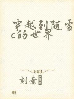 穿越到随处可以c的世界