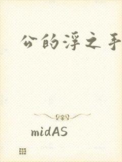 公的浮之手中字