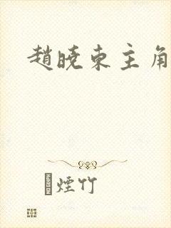 赵晓东主角小说