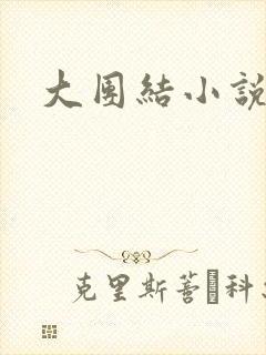 大团结小说下载