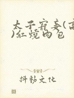 太子宠妾(高肉)红烧肉包