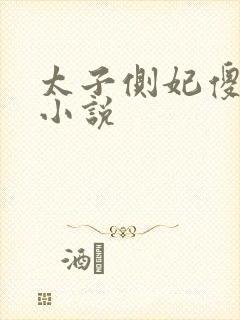 太子侧妃傻乎乎小说