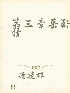 第三章岳卧室激情