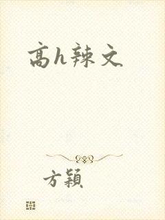 高h辣文