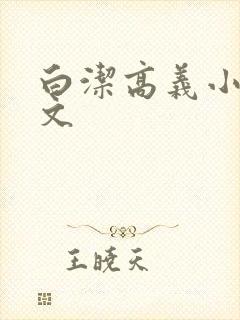 白洁高义小说全文