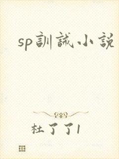 sp训诫小说