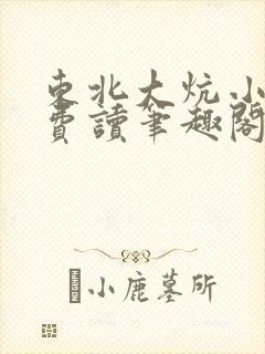 东北大炕小说免费读笔趣阁