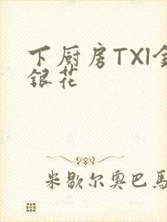 下厨房TXl金银花