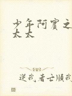 少年阿宾之房东太太