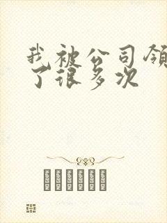 我被公司领导C了很多次