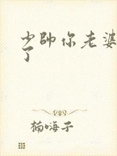 少帅你老婆又跑了