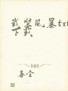 武装风暴txt下载