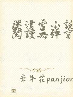 迷津雪小说免费阅读无弹窗