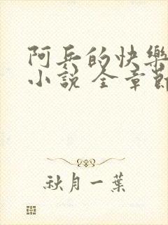 阿兵的快乐生活小说 全章节阅读免费