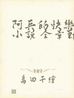 阿兵的快乐生活小说 全章节阅读免费