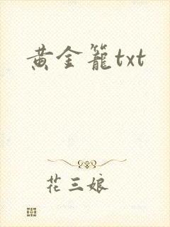 黄金笼txt