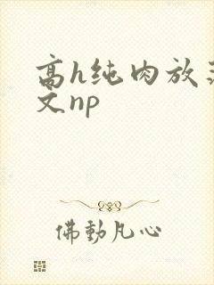 高h纯肉放荡h文np