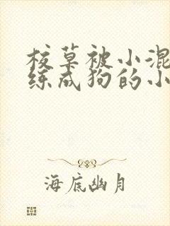 校草被小混混训练成狗的小说