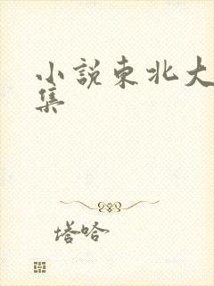 小说东北大炕全集