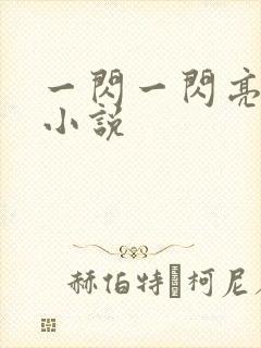 一闪一闪亮星星小说