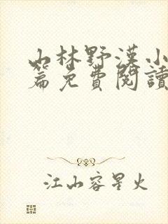 山林野汉小说全篇免费阅读