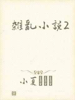 杂乱小说2